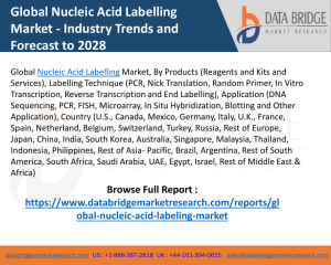 Nucleic Acid Labelling