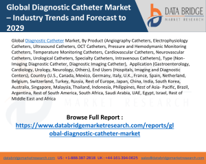 Diagnostic Catheter