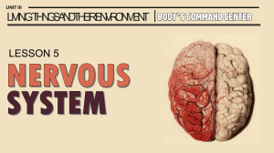 LESSON-5-NERVOUS-SYSTEM-Notes