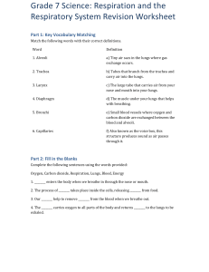 Grade 7 Respiration Revision Worksheet Chapter 1 (1)