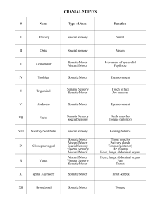 Cranial Nerves Table: Types, Functions