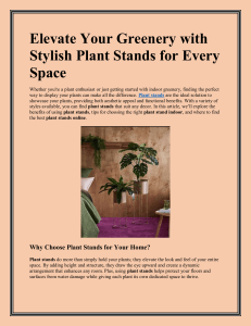 Dusaan Plant Stands – Elegant and Durable Designs for Every Space