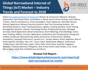 Narrowband Internet of Things (IoT)