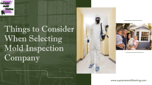 Things to Consider When Selecting Mold Inspection Company