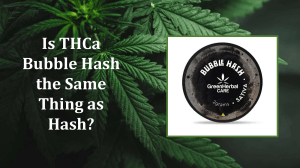 THCa Bubble Hash vs Hash: Differences & Benefits