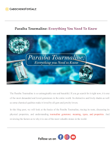 Paraiba Tourmaline  Everything You Need To Know.docx