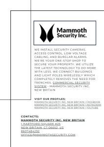 Mammoth Security Inc. New Britain