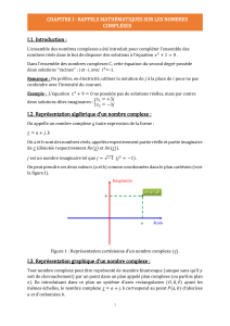 Chapitre I