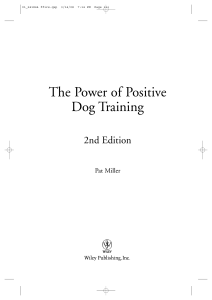 The Power of Positive Dog Training