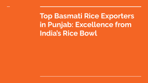 Top Basmati Rice Exporters in Punjab  Excellence from India’s Rice Bowl