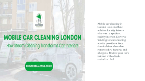 Mobile Steam Cleaning for a Healthier Car Interior in London