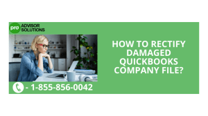 Data Damaged QuickBooks Company Files How to Repair and Recover Them