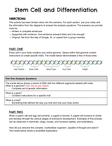 Copy of Stem Cell Inquiry Revision 2024