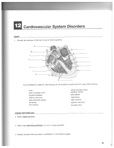 12 Cardiovascular System Disorders