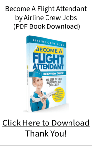 Become A Flight Attendant PDF FREE Download