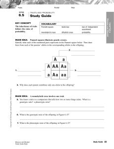 Meiosis & Mendel Study Guide: Traits & Probability