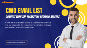 Trusted B2B CMO Email List by Averickmedia