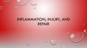 Inflammation, Injury, and Repair Presentation