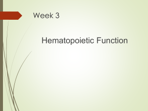 Hematopoietic Function: Blood Formation & Disorders