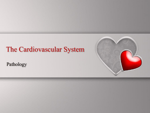 6 Cardiovascular System powerpoint PATHO