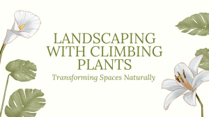 Landscaping with Climbing Plants