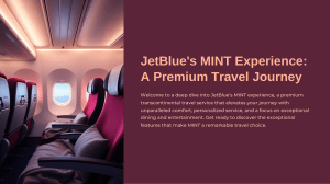 JetBlues-MINT-Experience-A-Premium-Travel-Journey.pptx