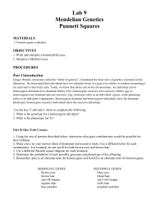 Punnett squares