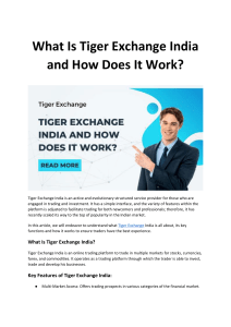 What Is Tiger Exchange India and How Does It Work