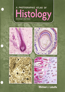 DOWNLOAD A Photographic Atlas of Histology