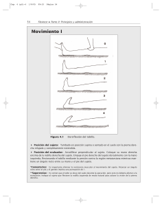 Flexitest: Guía de Evaluación de Dorsiflexión de Tobillo