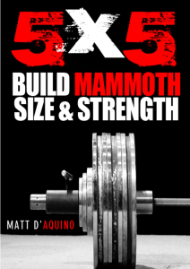 355341211-5x5-Strongman-pdf