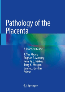 EBOOK Pathology of the Placenta A Practical Guide