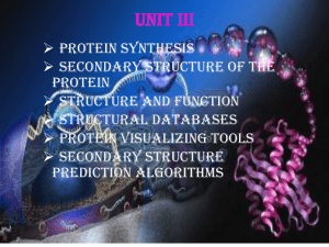 Protein Synthesis & Structure Presentation