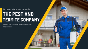 Effective Pest Control & Termite Inspections  Gold Coast Experts