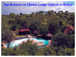 Top Reasons to Choose Lodge Safaris in Kenya