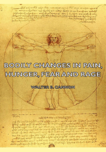 DOWNLOAD Bodily Changes in Pain Hunger Fear and Rage  An Account of Recent 