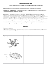 Л.Р.№11 Строение одноклеточных орг-ов