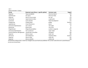 Species lists 2024 new (2)