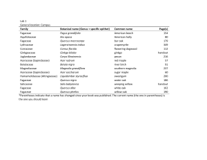 Species List