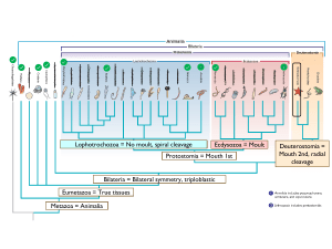 BIOL 121A Chapters 14-20 Summary