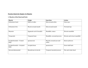 Practice Charts for Chapter 141 (1)