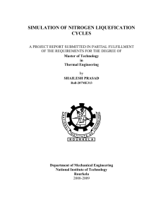 shailesh final thesis