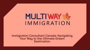 Immigration Consultant Canada: Your Guide