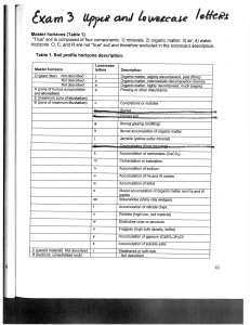 Exam 3 Upper and Lower case letters