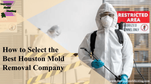 Select the Best Houston Mold Removal Company