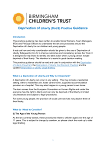 dols-practice-guidance-240221