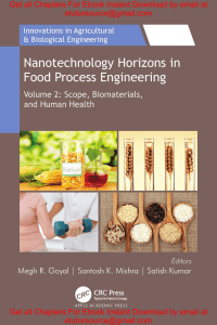 Nanotechnology Horizons in Food Process Engineering