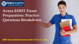 Avaya 2530T Exam Preparation: Practice Questions Breakdown