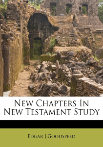 BOOK New Chapters in New Testament Study