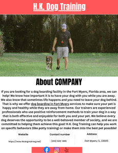 H.K. Dog Training